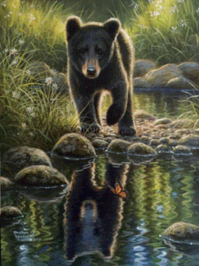 Медвежонок - животные, медвежонок, природа - предпросмотр