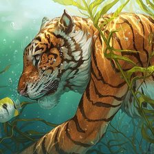 тигр плывет