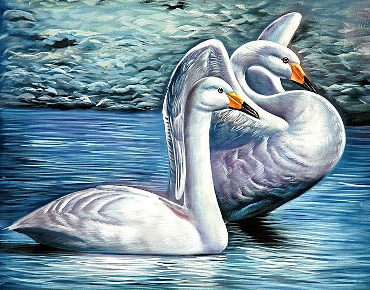 лебединое озеро - птицы, лебеди, белый лебедь, пара, лебедь - оригинал