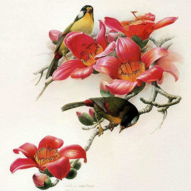 Две птички на цветущей ветке - птицы, цветы - оригинал