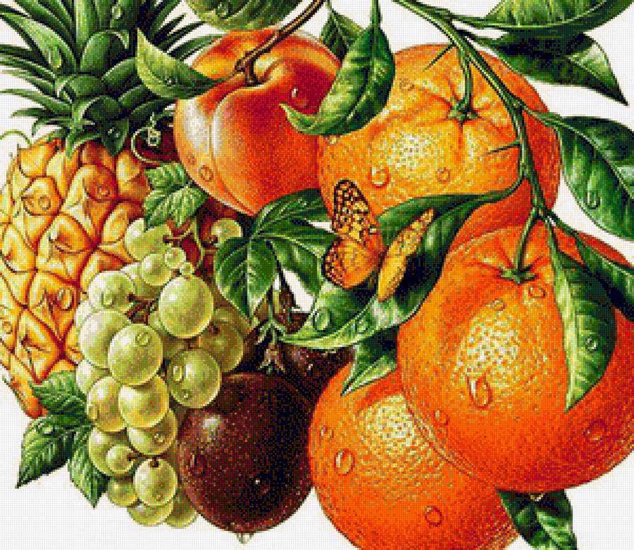 Фруктовое ассорти - на кухню, ананас, виноград, апельсин, персик, слива, бабочка, фрукты - предпросмотр