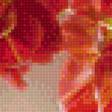 Предпросмотр схемы вышивки «букет красных махровых тюльнанов» (№1140349)