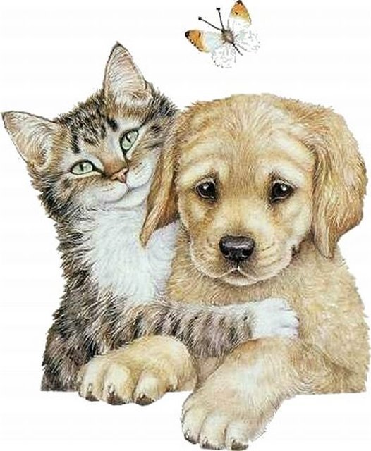 Верные друзья - собака, животные, друзья, собаки и кошки, бабочка, кошка - оригинал