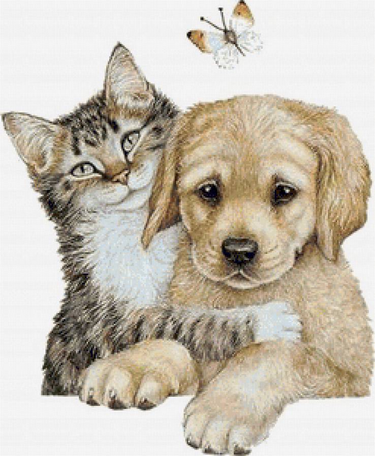 Верные друзья - кошка, животные, друзья, бабочка, собака, собаки и кошки - предпросмотр