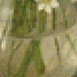 Предпросмотр схемы вышивки «Натюрморт с полевыми цветами» (№1143113)