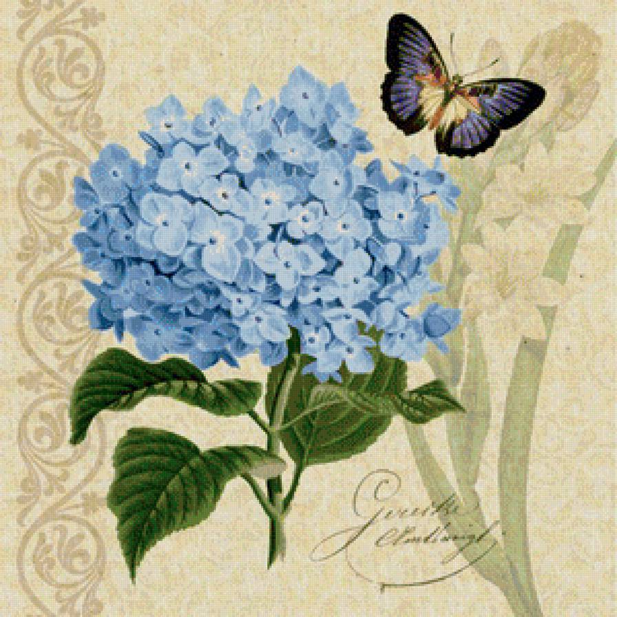 Гортензия - бабочка, картина, цветы - предпросмотр