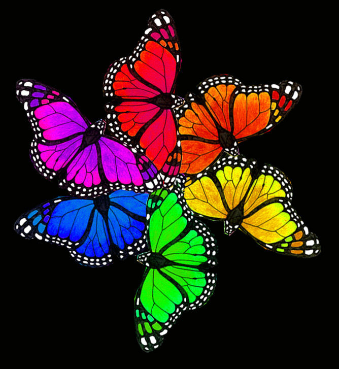 Бабочки - подушка, бабочка, бабочки - оригинал