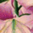 Предпросмотр схемы вышивки «лилии» (№1144740)