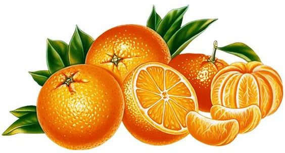 Апельсины - цитрус, апельсин, на кухню - оригинал
