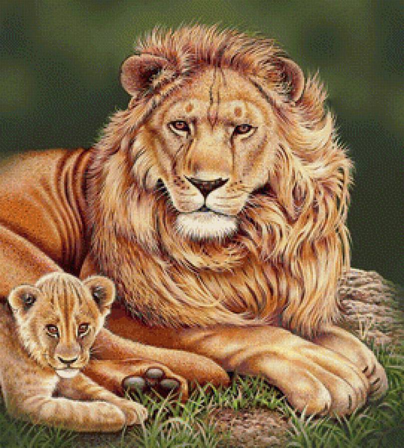 Лев с малышом - львы, дикие кошки, животные - предпросмотр