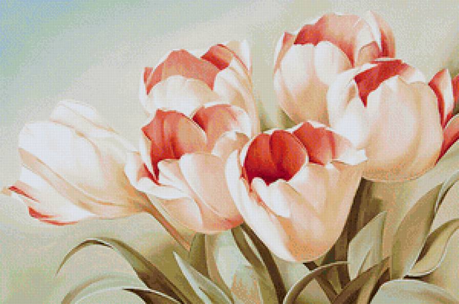 Нежные тюльпаны - цветы - предпросмотр