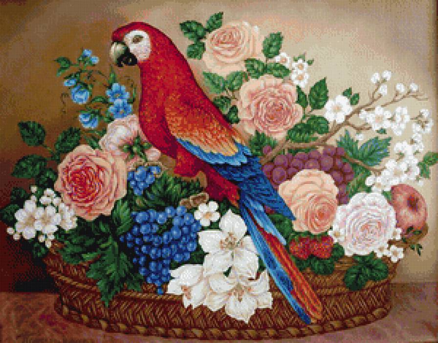 Натюрморт - попугай, цветы, натюрморт, фрукты - предпросмотр
