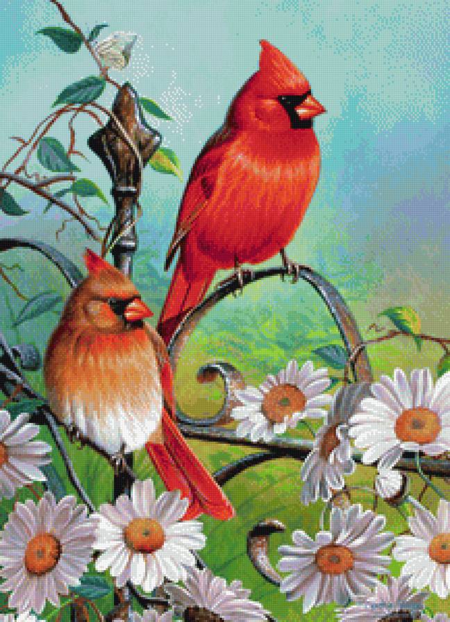 Птицы на заборе - птицы, цветы, забор, ромашки - предпросмотр