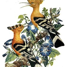 Оригинал схемы вышивки «Серия птицы» (№1146275)