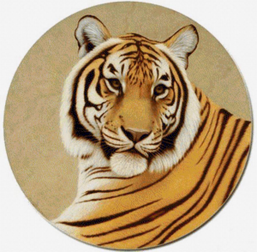 Тигр - тигр, животные, дикие кошки, тигренок - предпросмотр