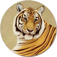 Оригинал схемы вышивки «Тигр» (№1147603)