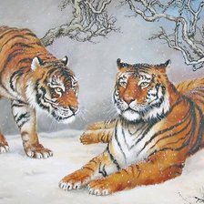 Оригинал схемы вышивки «Тигры» (№1147642)