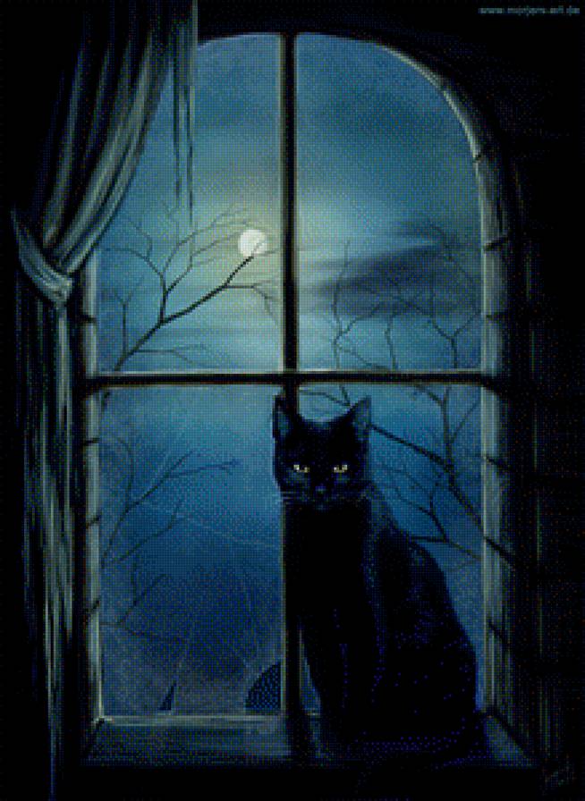 черный кот - окно, луна, черный кот, магия, полнолуние - предпросмотр