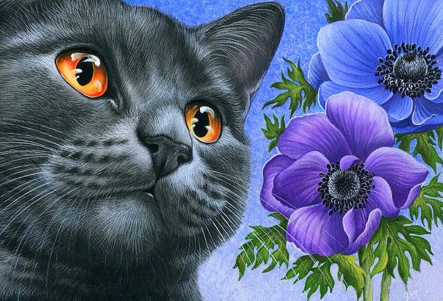 британский Лорд - кот, британский голубой, кошка, анемоны, домашние животные - оригинал