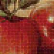 Предпросмотр схемы вышивки «Яблоки» (№1150032)