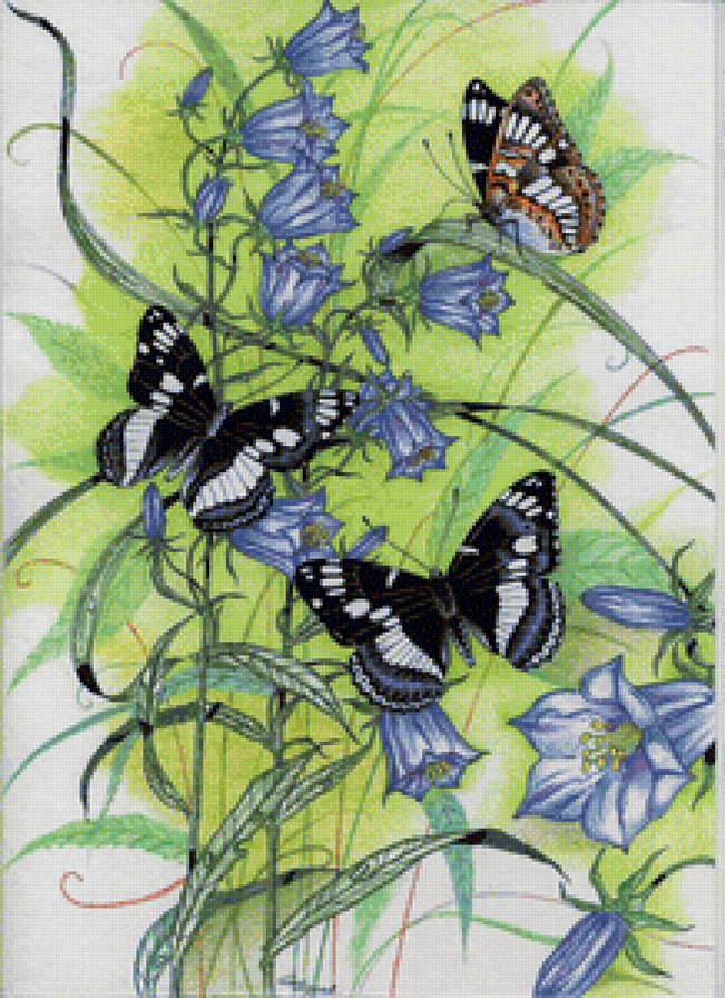 Бабочки - природа, цветы, бабочки, колокольчик - предпросмотр