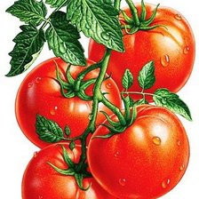 Оригинал схемы вышивки «томаты» (№1150625)