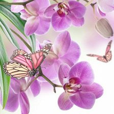 Оригинал схемы вышивки «Орхидеи и бабочки» (№1151386)