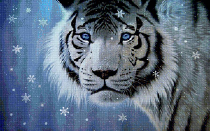 белый тигр - тигр - предпросмотр