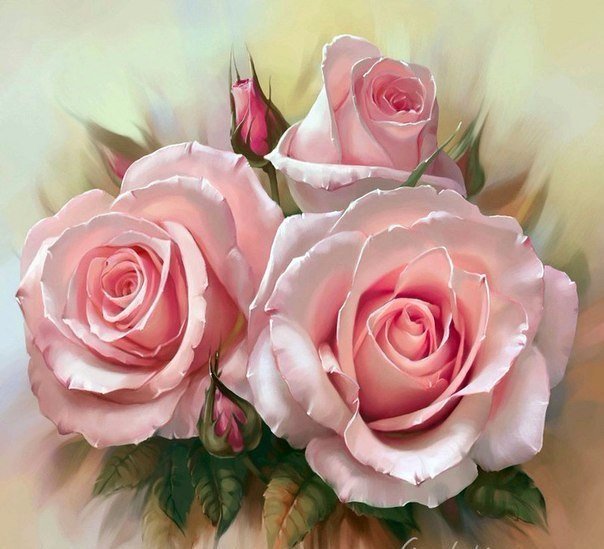 розовые розы - цветы, розы - оригинал