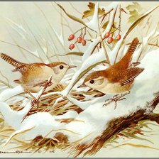 Оригинал схемы вышивки «Зимние пташки» (№1154613)