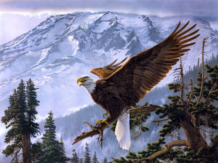 крылья - птицы, горы, природа, пейзаж - оригинал