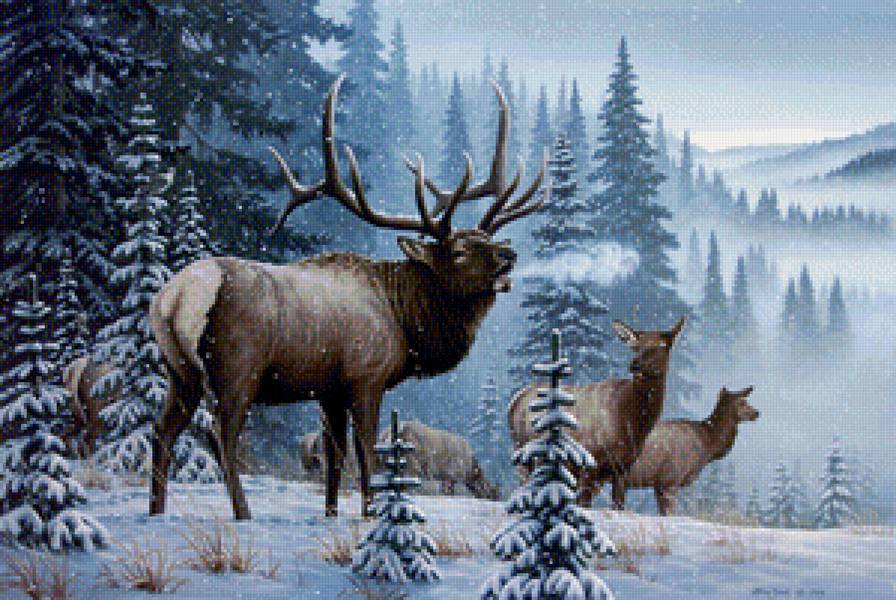 Олени - лес, животные, природа, олень, зима - предпросмотр
