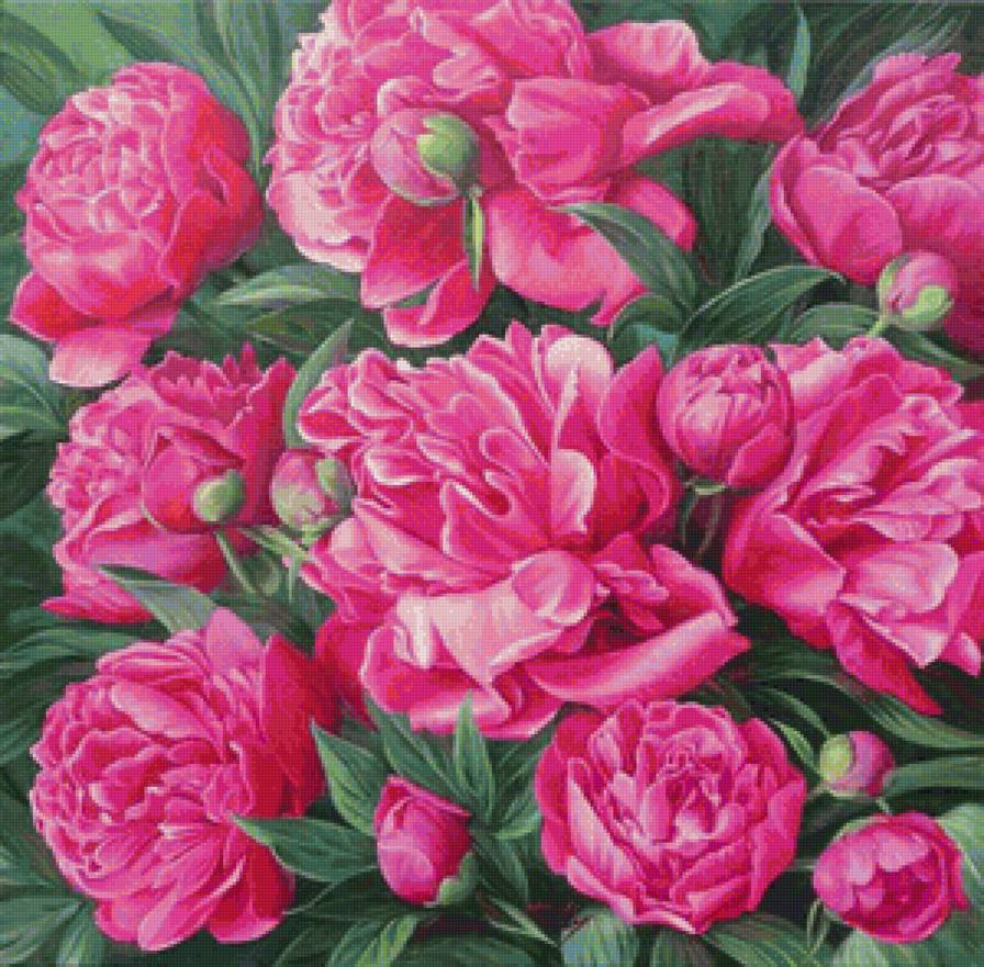 Яркие пиончики - розовые цветы, пионы, подушка, букет, живопись, цветы - предпросмотр