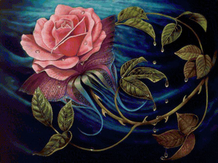 роза нежная - розы, бабочка, капля, роза, розовые цветы, капли - предпросмотр