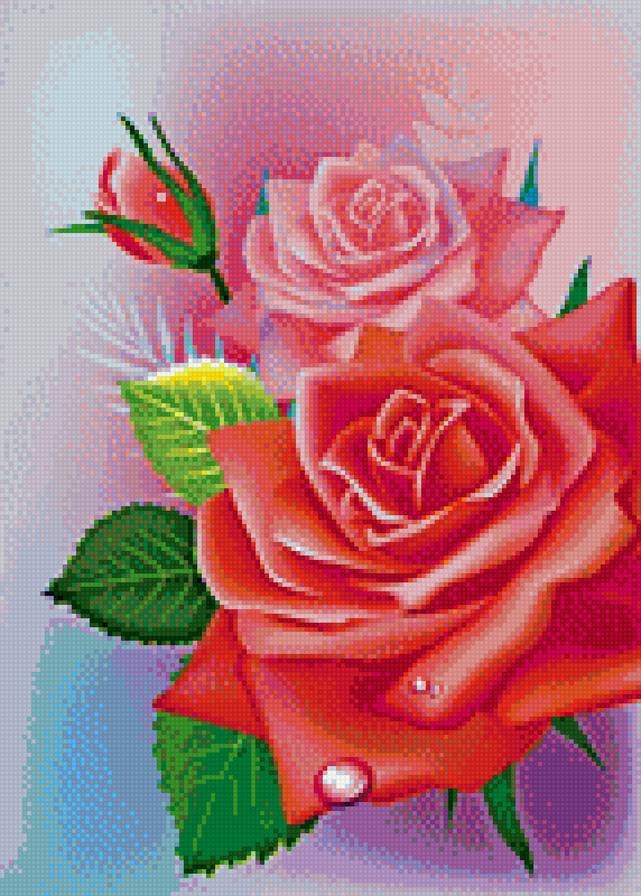 Розы - цветы, схема вышивки, розы - предпросмотр