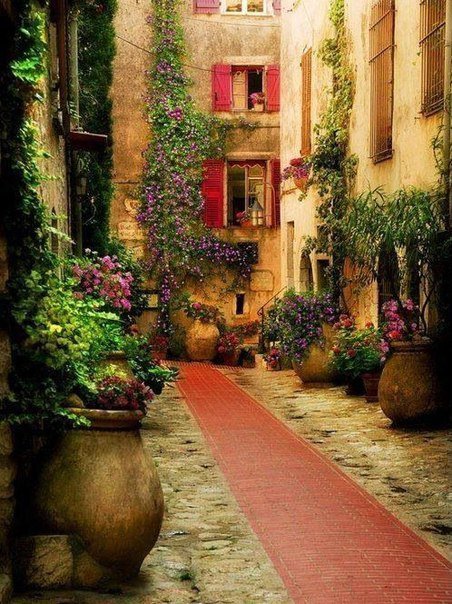 уютный дворик - цветы, улица, двор - оригинал