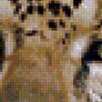 Предпросмотр схемы вышивки «леопард» (№1159232)
