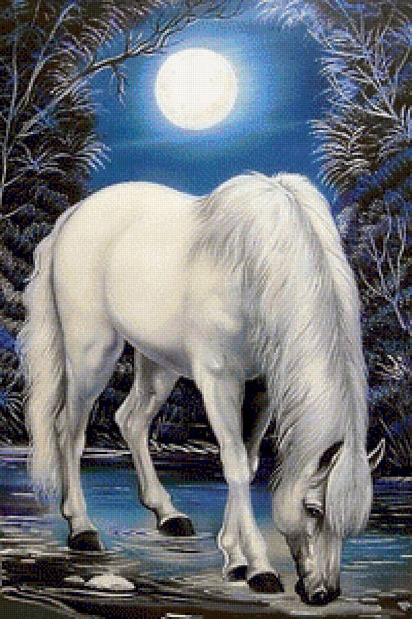 белый конь - ночь, лошадь, луна, домашние животные, конь, белый конь - предпросмотр