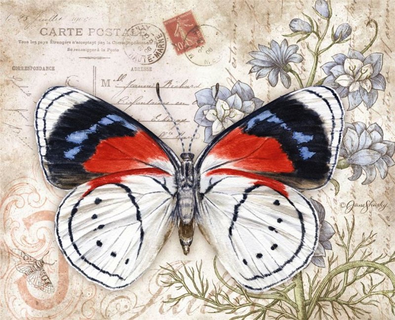 Серия бабочки - цветы, бабочки - оригинал