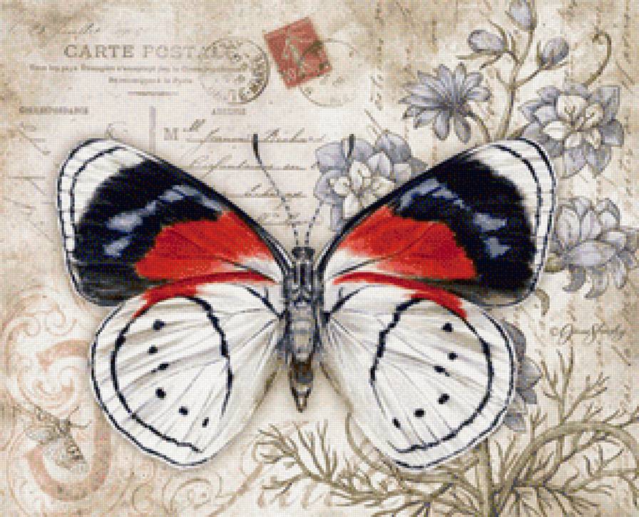 Серия бабочки - цветы, бабочки - предпросмотр