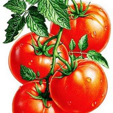 Схема вышивки «los tomates»