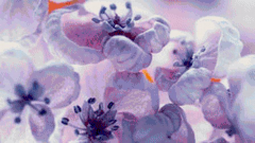 сиреневенькие цветы - сиреневый, цветы, интересно - предпросмотр