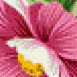 Предпросмотр схемы вышивки «цветочный мотив» (№1165348)
