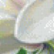 Предпросмотр схемы вышивки «Белые орхидеи» (№1165830)