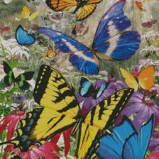 Оригинал схемы вышивки «бабочки» (№1166068)