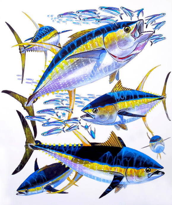 Желтопёрый тунец - рыба - оригинал