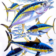 Оригинал схемы вышивки «Желтопёрый тунец» (№1166372)