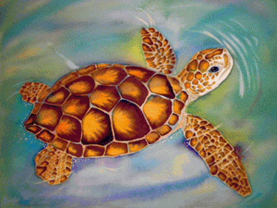 Принц моря - черепаха - предпросмотр