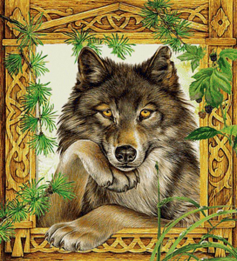 Волк - сказка, волк, картина, окно - предпросмотр