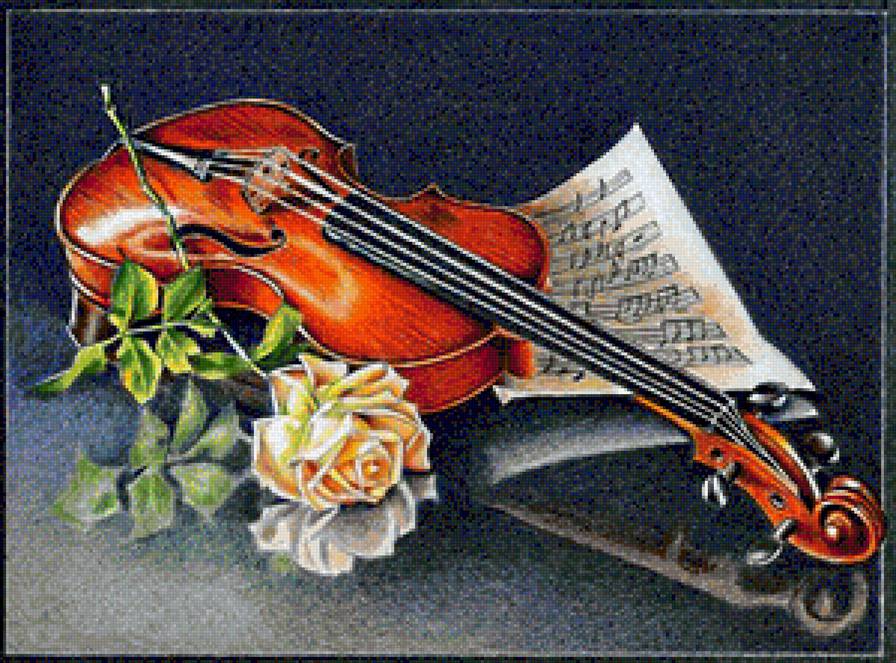 музыка и цветы - ноты, скрипка, желтые цветы, роза - предпросмотр